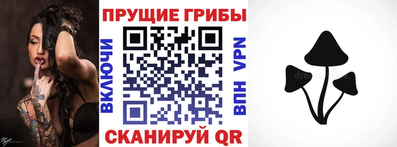 Псилоцибиновые грибы мухоморы Купить где Котово