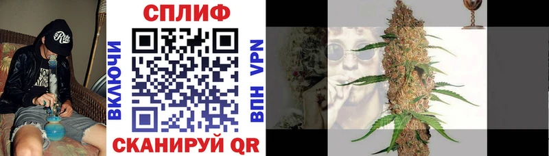 Каннабис ГИДРОПОН  Купить где  Котово 